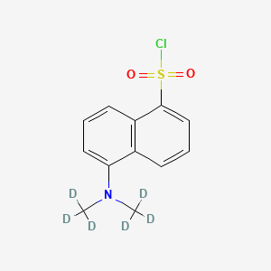 B588071 Dansyl Chloride-d6 CAS No. 1276379-68-0