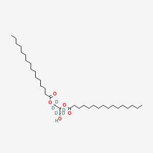 molecular formula C35H68O5 B588343 rac-1,2-Dipalmitoylglycerol-d5 CAS No. 944709-32-4