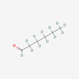 molecular formula C6H12O B588413 Hexanal-d12 CAS No. 1219803-74-3