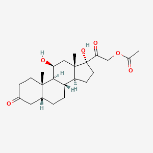 molecular formula C23H34O6 B588437 5beta-Dihydrocortisol 21-Acetate CAS No. 64313-94-6