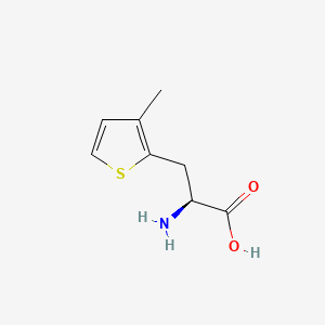 molecular formula C8H11NO2S B588826 L-2-(3-METHYLTHIENYL)ALANINE CAS No. 154593-59-6