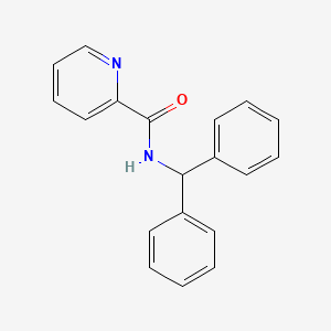 molecular formula C19H16N2O B5888303 N-benzhydrylpicolinamide 