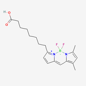 molecular formula C19H25BF2N2O2 B588991 3-Bodipy-octanoic Acid CAS No. 1123637-28-4