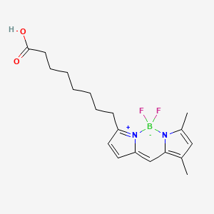 3-Bodipy-octanoic Acid