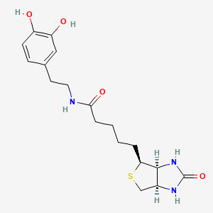 B589029 N-Biotinyl Dopamine CAS No. 241142-94-9
