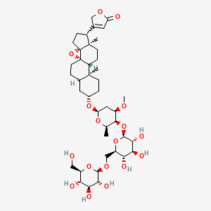 molecular formula C42H64O17 B589041 Adynerigenin beta-neritrioside 