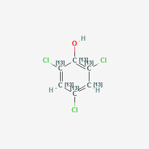 2,4,6-Trichlorophenol 13C6