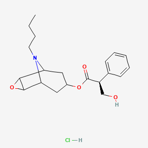 molecular formula C20H28ClNO4 B589161 N-Butyl Nor Scopolamine Hydrochloride CAS No. 22235-98-9