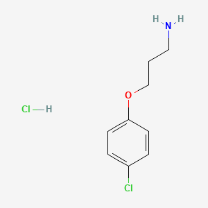 molecular formula C9H13Cl2NO B589215 3-(4-Chlorophenoxy)propan-1-amine hydrochloride CAS No. 152973-80-3