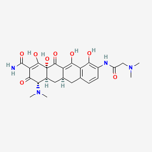 molecular formula C25H30N4O8 B589289 Dmg-dmdot CAS No. 151922-17-7