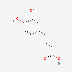 molecular formula C10H12O4 B589332 4-(3,4-Dihydroxyphenyl)butanoic acid CAS No. 70217-89-9