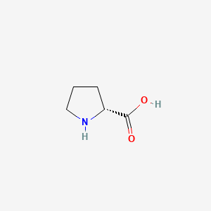 molecular formula C5H9NO2 B589398 D-proline CAS No. 1331908-17-8