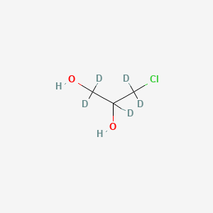 molecular formula C3H7ClO2 B589416 3-Chloro-1,2-propanediol-d5 CAS No. 342611-01-2