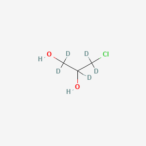 molecular formula C3H7ClO2 B589416 3-Chloro-1,1,2,3,3-pentadeuteriopropane-1,2-diol CAS No. 342611-01-2