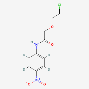 molecular formula C10H11ClN2O4 B589502 2-(2-氯乙氧基)-N-(4-硝基苯基)乙酰胺-d4 CAS No. 1329612-84-1