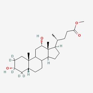 molecular formula C25H42O4 B589597 Methyl Desoxycholate-d5 CAS No. 52840-15-0