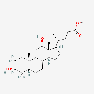 Methyl Desoxycholate-d5
