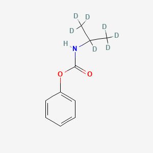 molecular formula C10H13NO2 B589663 phenyl N-(1,1,1,2,3,3,3-heptadeuteriopropan-2-yl)carbamate CAS No. 1329835-22-4