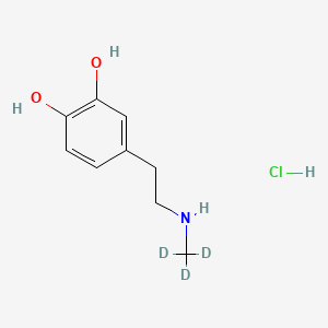 molecular formula C9H14ClNO2 B589848 Deoxy Epinephrine CAS No. 101905-96-8