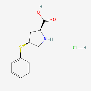 molecular formula C11H14ClNO2S B589854 Cis-4-Phenylthio-L-proline hydrochloride CAS No. 105107-84-4