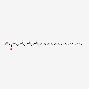 Henicosa-2,4,6,8-tetraenoic acid