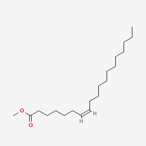 molecular formula C20H38O2 B590077 delta 7 cis Nonadecenoic acid methyl ester CAS No. 146407-37-6