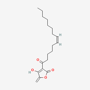 molecular formula C19H28O4 B590635 Agglomerin D CAS No. 125620-73-7