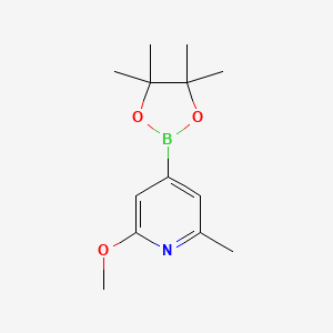molecular formula C13H20BNO3 B590806 2-Methoxy-6-methyl-4-(4,4,5,5-tetramethyl-1,3,2-dioxaborolan-2-YL)pyridine CAS No. 1083168-87-9