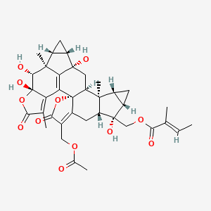 molecular formula C37H42O12 B590906 Sarcandrolide D 