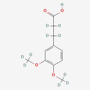 3-(3,4-Dimethoxyphenyl)propanoic acid-d10