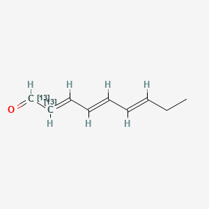 molecular formula C9H12O B590951 (2E,4E,6E)-2,4,6-Nonatrienal-13C2 