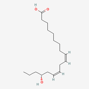 molecular formula C18H32O3 B590960 (9Z,12Z)-15-Hydroxy-9,12-octadecadienoic acid CAS No. 177931-23-6