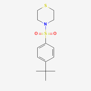 molecular formula C14H21NO2S2 B5910102 Thiomorpholine, 4-(4-tert-butylphenylsulfonyl)- 
