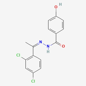 molecular formula C15H12Cl2N2O2 B5912579 N-[(Z)-1-(2,4-dichlorophenyl)ethylideneamino]-4-hydroxybenzamide 