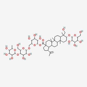 molecular formula C54H88O23 B591338 [6-[[3,4-Dihydroxy-6-(hydroxymethyl)-5-(3,4,5-trihydroxy-6-methyloxan-2-yl)oxyoxan-2-yl]oxymethyl]-3,4,5-trihydroxyoxan-2-yl] 8-(hydroxymethyl)-5a,5b,8,11a-tetramethyl-1-prop-1-en-2-yl-9-[3,4,5-trihydroxy-6-(hydroxymethyl)oxan-2-yl]oxy-1,2,3,4,5,6,7,7a,9,10,11,11b,12,13,13a,13b-hexadecahydrocyclopenta[a]chrysene-3a-carboxylate CAS No. 226572-11-8