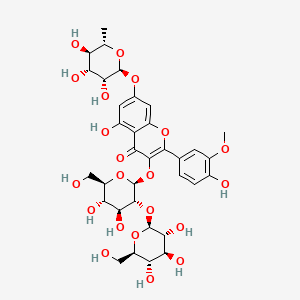 molecular formula C34H42O21 B591377 Isorhamnetin 3-sophoroside-7-rhamnoside CAS No. 41328-75-0