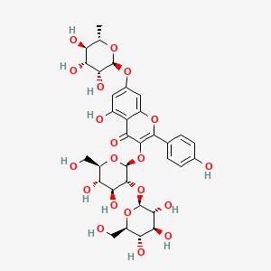 molecular formula C33H40O20 B591378 Kaempferol 3-sophoroside 7-rhamnoside CAS No. 93098-79-4