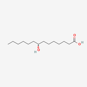 B591404 8-Hydroxymyristic acid, (R)- CAS No. 191719-73-0