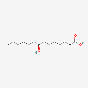 molecular formula C14H28O3 B591408 8-Hydroxymyristic acid, (S)- CAS No. 938159-85-4