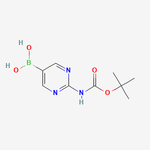 molecular formula C9H14BN3O4 B591501 (2-((tert-Butoxycarbonyl)amino)pyrimidin-5-yl)boronic acid CAS No. 883231-25-2