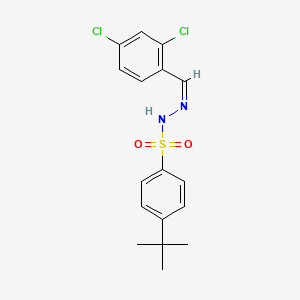 molecular formula C17H18Cl2N2O2S B5915433 4-tert-butyl-N-[(Z)-(2,4-dichlorophenyl)methylideneamino]benzenesulfonamide 