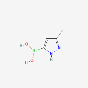 molecular formula C4H7BN2O2 B591762 (5-Methyl-1H-pyrazol-3-yl)boronic acid CAS No. 1163248-54-1