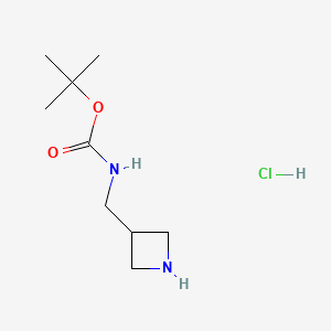 molecular formula C9H19ClN2O2 B592163 tert-Butyl (azetidin-3-ylmethyl)carbamate hydrochloride CAS No. 1170108-38-9