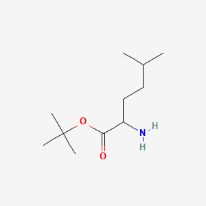 molecular formula C11H23NO2 B592196 tert-Butyl 2-amino-5-methylhexanoate CAS No. 1543874-84-5
