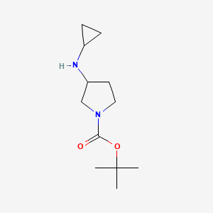molecular formula C12H22N2O2 B592226 tert-Butyl 3-(cyclopropylamino)pyrrolidine-1-carboxylate CAS No. 887587-25-9