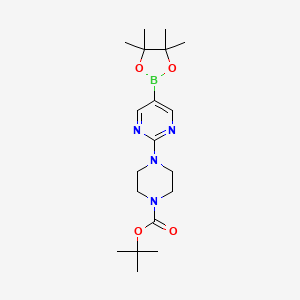 molecular formula C19H31BN4O4 B592282 tert-Butyl 4-(5-(4,4,5,5-tetramethyl-1,3,2-dioxaborolan-2-yl)pyrimidin-2-yl)piperazine-1-carboxylate CAS No. 940284-98-0