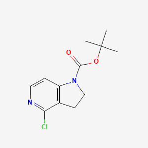 molecular formula C12H15ClN2O2 B592302 叔丁基 4-氯-2,3-二氢-1H-吡咯并[3,2-C]吡啶-1-羧酸酯 CAS No. 494767-22-5
