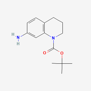 molecular formula C14H20N2O2 B592345 tert-Butyl 7-amino-3,4-dihydroquinoline-1(2H)-carboxylate CAS No. 351324-70-4