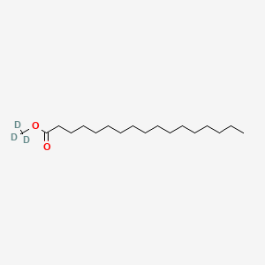 molecular formula C18H36O2 B592404 Methyl Heptadecanoate-d3 CAS No. 209627-97-4