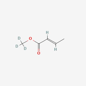 molecular formula C5H8O2 B592406 Trideuteriomethyl (E)-but-2-enoate CAS No. 35717-07-8